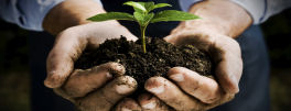 Maintanence Services Maintanence Services