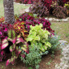 landscape enhancement