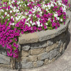 retaining wall
