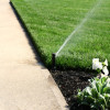 sprinklers